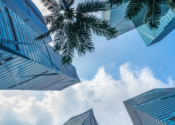 skyscrapers-from-low-angle-view
